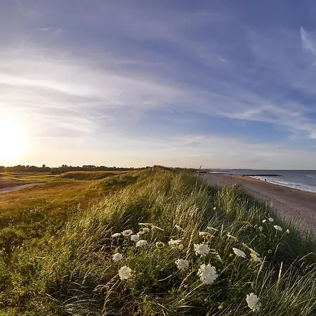 度假居 Rosslare Strand Holiday